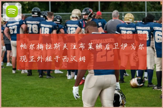 帕尔梅拉斯关注布莱顿后卫伊戈尔现正外租于西汉姆