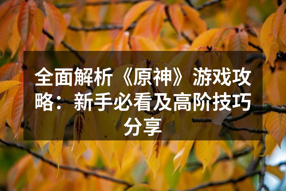 全面解析《原神》游戏攻略：新手必看及高阶技巧分享
