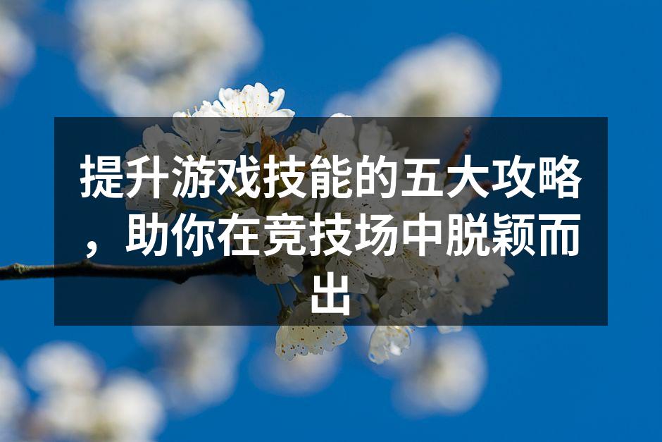 提升游戏技能的五大攻略，助你在竞技场中脱
