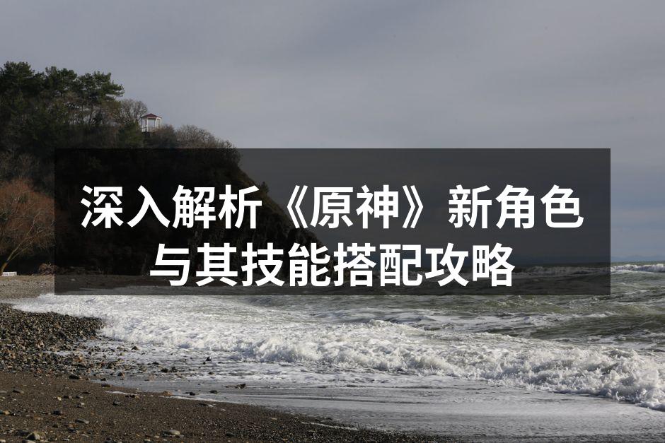深入解析《原神》新角色与其技能搭配攻略